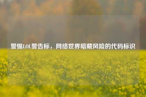 警惕LOL警告标,网络世界暗藏风险的代码标识
