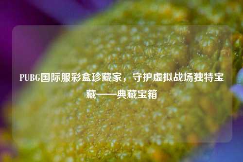 PUBG国际服彩盒珍藏家,守护虚拟战场独特宝藏——典藏宝箱