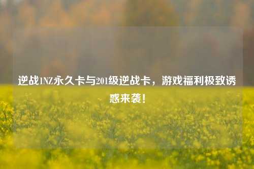 逆战1NZ永久卡与201级逆战卡,游戏福利极致诱惑来袭!