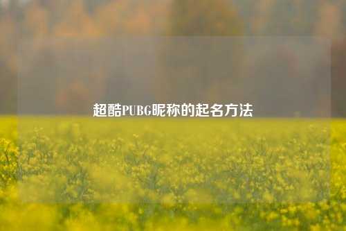 超酷PUBG昵称的起名方法