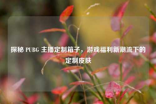 探秘 PUBG 主播定制箱子,游戏福利新潮流下的定制皮肤