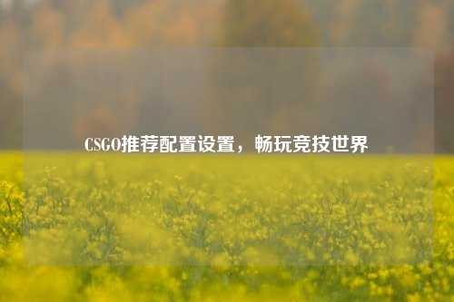CSGO推荐配置设置,畅玩竞技世界