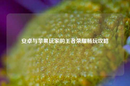 安卓与苹果玩家的王者荣耀畅玩攻略