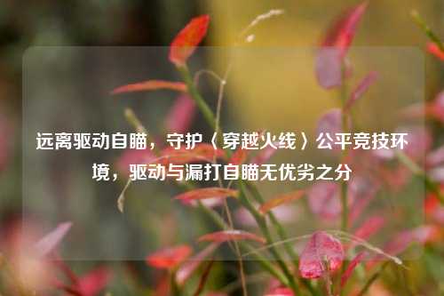 远离驱动自瞄,守护〈穿越火线〉公平竞技环境,驱动与漏打自瞄无优劣之分