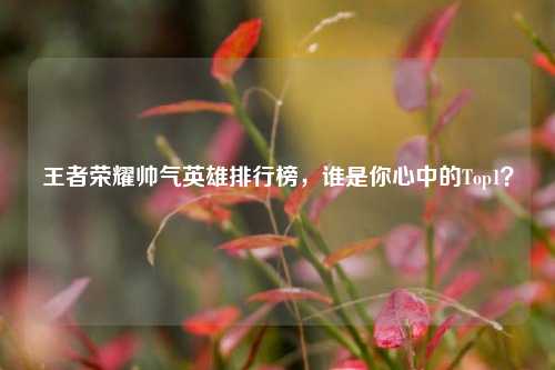 王者荣耀帅气英雄排行榜,谁是你心中的Top1?
