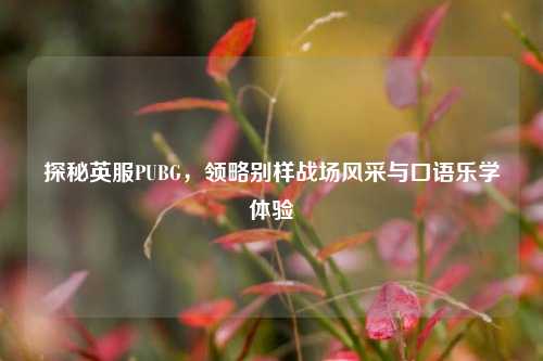 探秘英服PUBG,领略别样战场风采与口语乐学体验