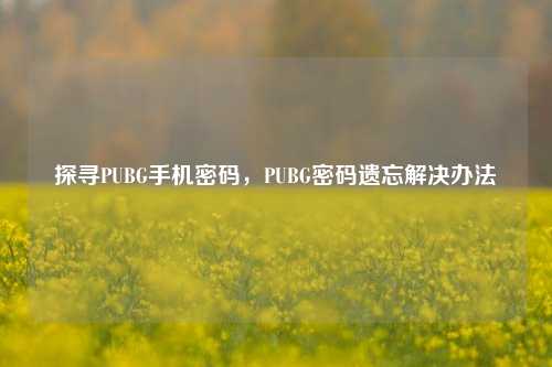 探寻PUBG手机密码,PUBG密码遗忘解决办法
