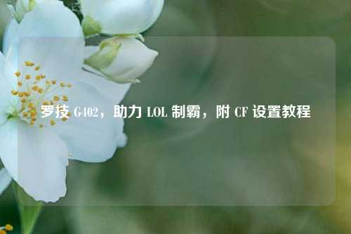 罗技 G402,助力 LOL 制霸,附 CF 设置教程