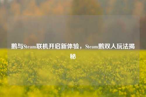鹅与Steam联机开启新体验,Steam鹅双人玩法揭秘