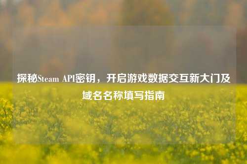 探秘Steam API密钥,开启游戏数据交互新大门及域名名称填写指南