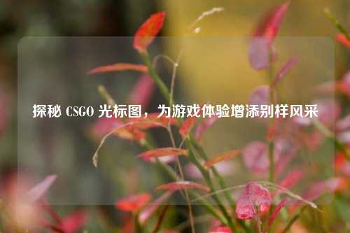 探秘 CSGO 光标图,为游戏体验增添别样风采