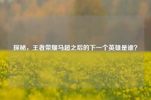 探秘,王者荣耀马超之后的下一个英雄是谁?