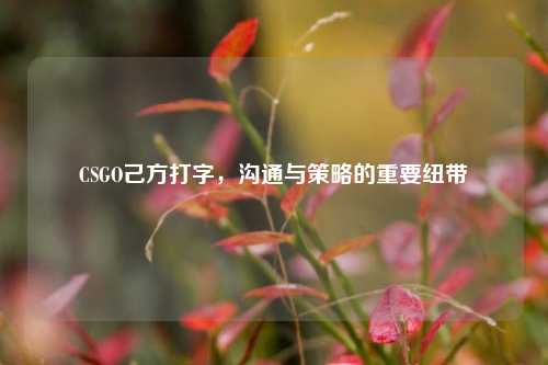 CSGO己方打字，沟通与策略的重要纽带