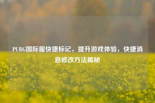 PUBG国际服快捷标记,提升游戏体验,快捷消息修改方法揭秘