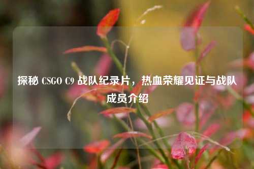 探秘 CSGO C9 战队纪录片,热血荣耀见证与战队成员介绍