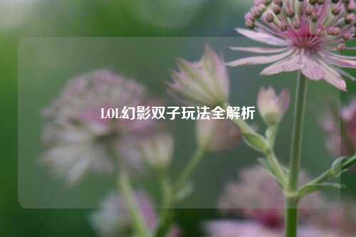 LOL幻影双子玩法全解析