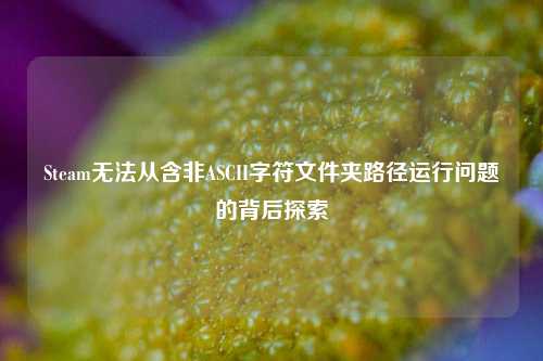 Steam无法从含非ASCII字符文件夹路径运行问题的背后探索