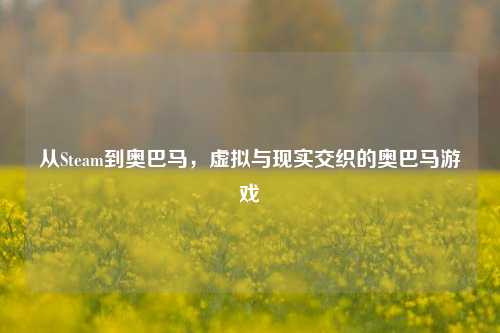 从Steam到奥巴马,虚拟与现实交织的奥巴马游戏