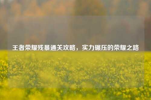 王者荣耀残暴通关攻略,实力碾压的荣耀之路