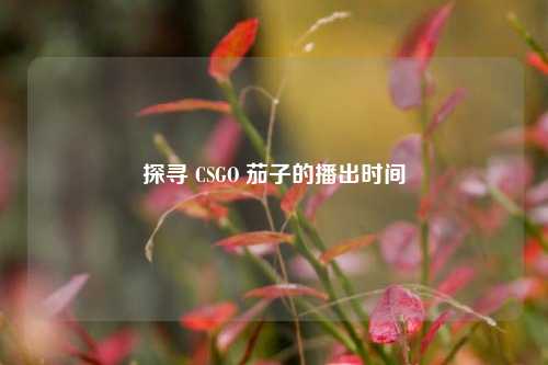 探寻 CSGO 茄子的播出时间