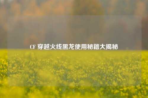 CF 穿越火线黑龙使用秘籍大揭秘