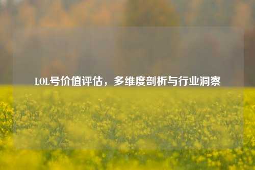 LOL号价值评估,多维度剖析与行业洞察