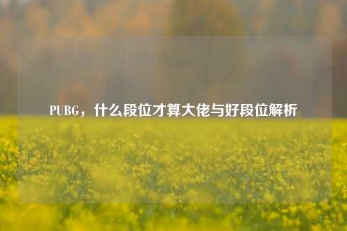 PUBG,什么段位才算大佬与好段位解析