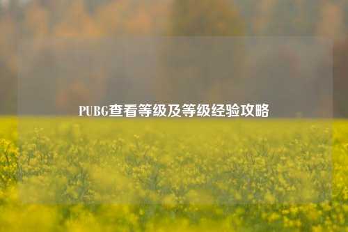 PUBG查看等级及等级经验攻略