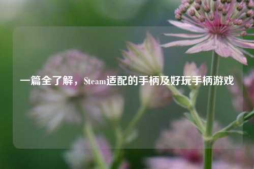 一篇全了解,Steam适配的手柄及好玩手柄游戏