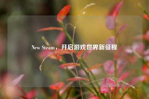 New Steam,开启游戏世界新征程