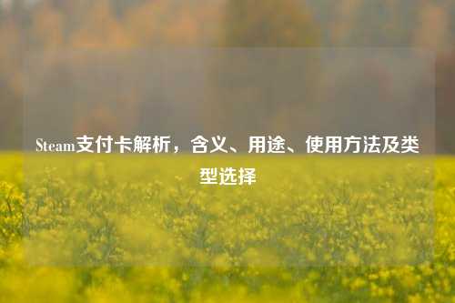 Steam支付卡解析,含义、用途、使用方法及类型选择
