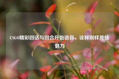 CSGO精彩回话与回合开始语音,诠释别样竞技魅力