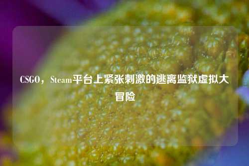 CSGO，Steam平台上紧张刺激的逃离监狱虚拟大冒险