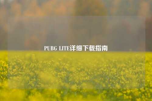 PUBG LITE详细下载指南
