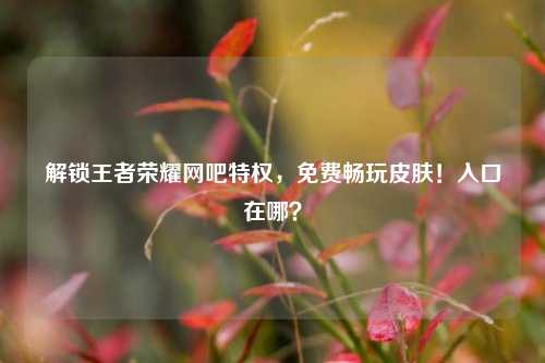 解锁王者荣耀网吧特权,免费畅玩皮肤!入口在哪?