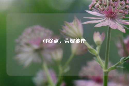 CF终点,荣耀彼岸