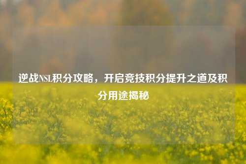 逆战NSL积分攻略，开启竞技积分提升之道及积分用途揭秘