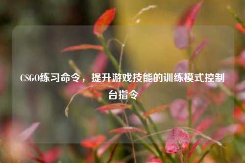 CSGO练习命令,提升游戏技能的训练模式控制台指令