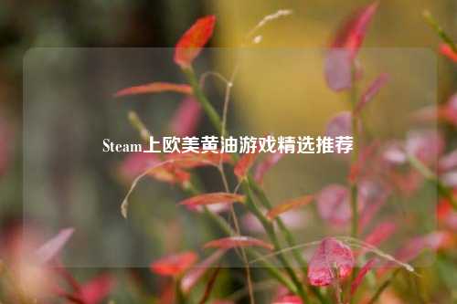 Steam上欧美黄油游戏精选推荐