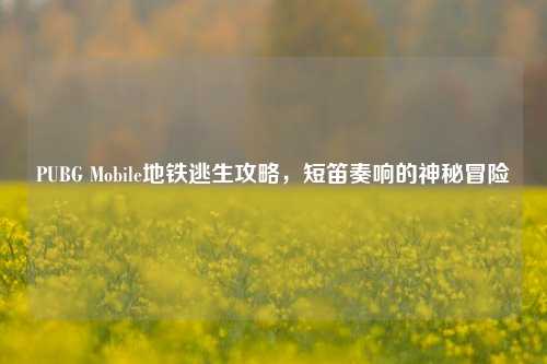 PUBG Mobile地铁逃生攻略,短笛奏响的神秘冒险