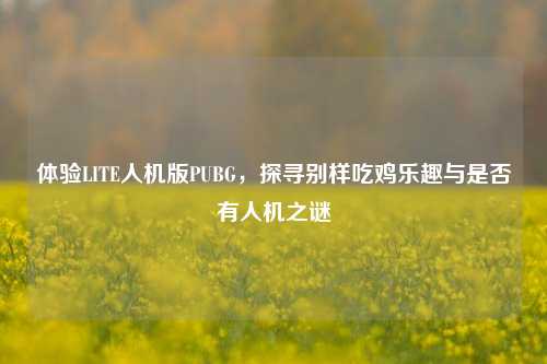 体验LITE人机版PUBG,探寻别样吃鸡乐趣与是否有人机之谜