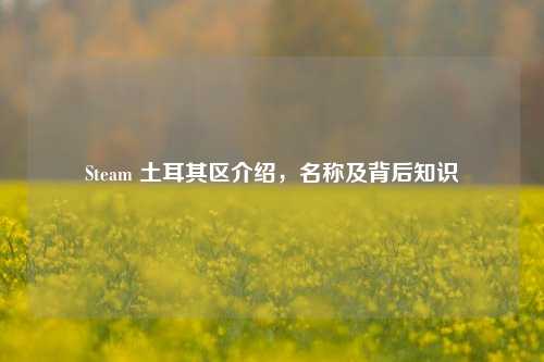 Steam 土耳其区介绍，名称及背后知识