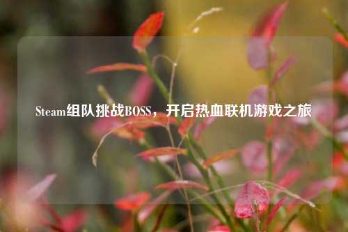 Steam组队挑战BOSS，开启热血联机游戏之旅