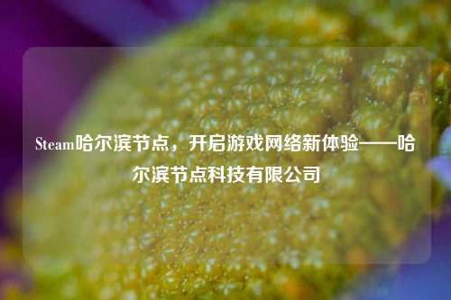 Steam哈尔滨节点,开启游戏网络新体验——哈尔滨节点科技有限公司