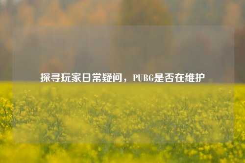 探寻玩家日常疑问,PUBG是否在维护