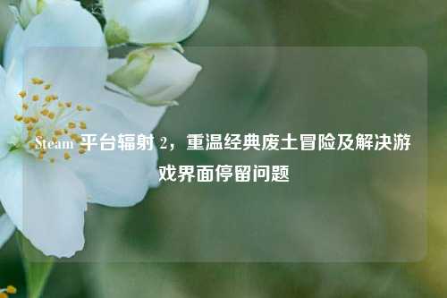 Steam 平台辐射 2，重温经典废土冒险及解决游戏界面停留问题
