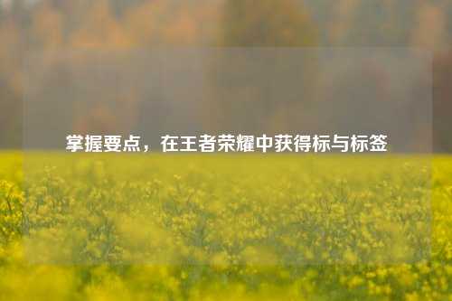掌握要点，在王者荣耀中获得标与标签