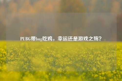 PUBG带bug吃鸡，幸运还是游戏之殇？
