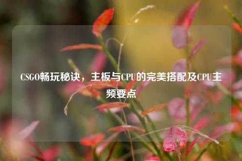 CSGO畅玩秘诀，主板与CPU的完美搭配及CPU主频要点