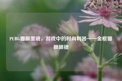 PUBG猫眼墨镜，游戏中的时尚利器——金框猫眼眼镜